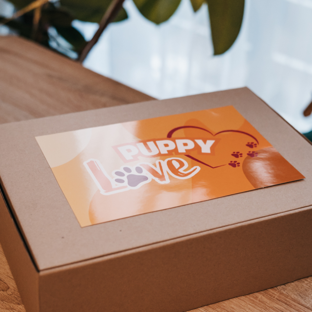 box prezentowy dla psa