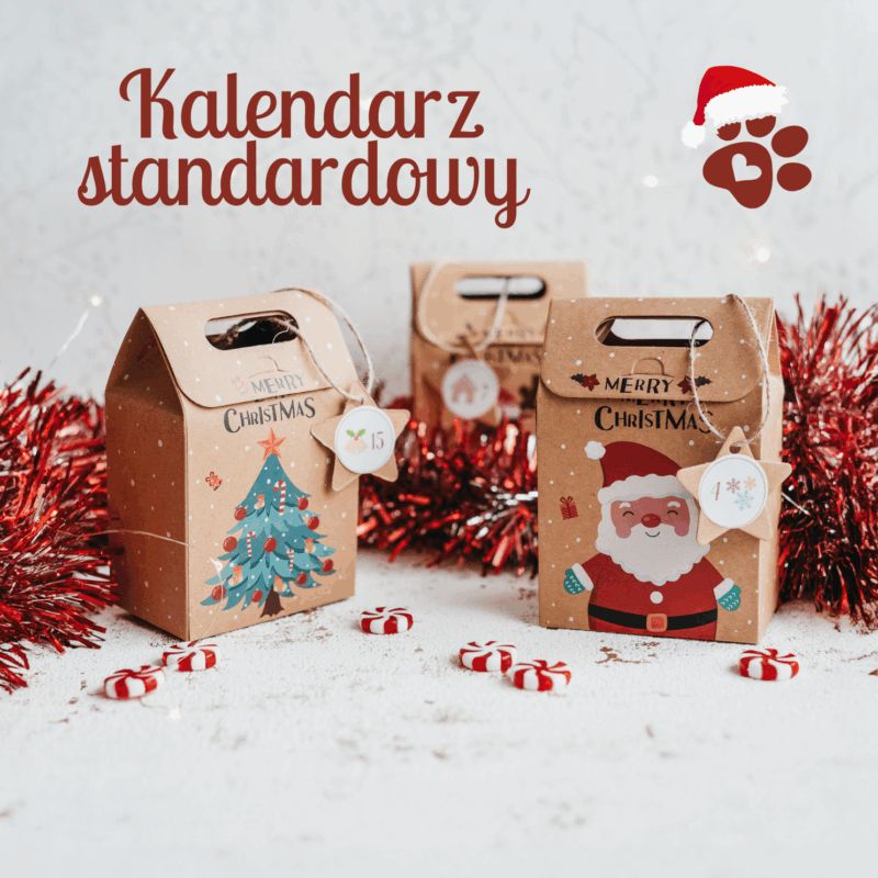 Kalendarz adwentowy - standard
