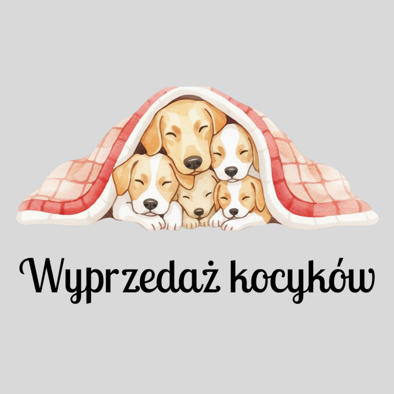 Wyprzedaż kocyków